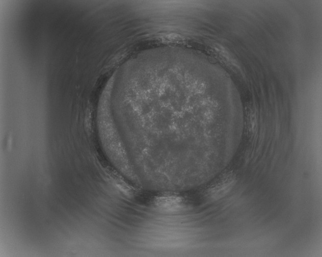 X0000073980266200609111815