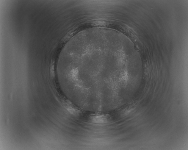 X0000073980267200609111815