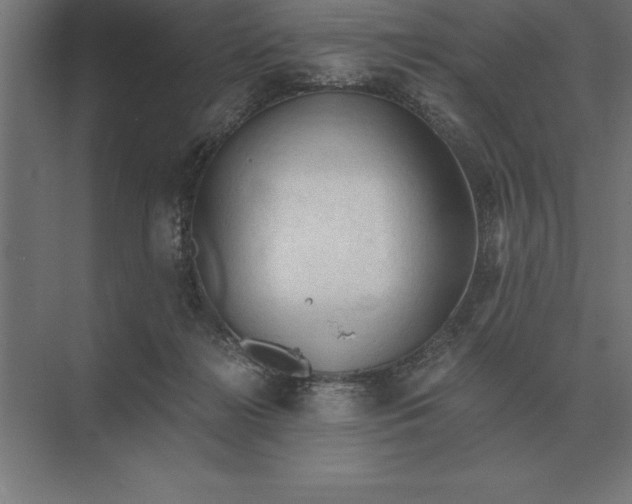 X0000073980268200609111815