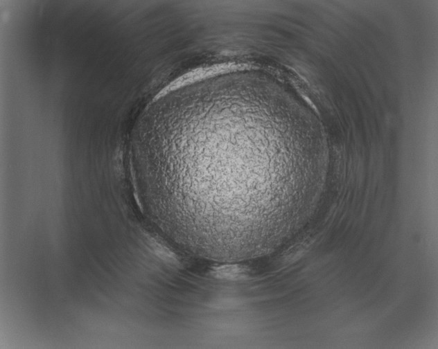 X0000073980269200609111815