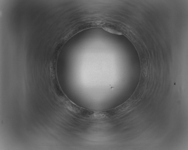 X0000073980270200609111815