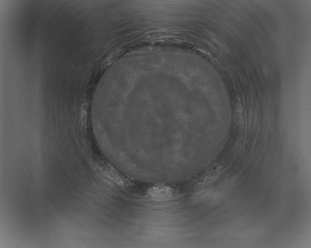 X0000073980271200609111815