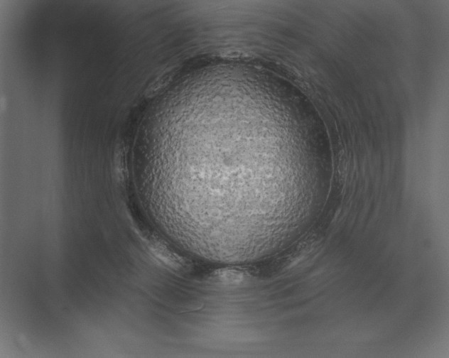 X0000073980272200609111815