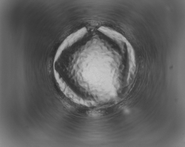 X0000073980273200609111815