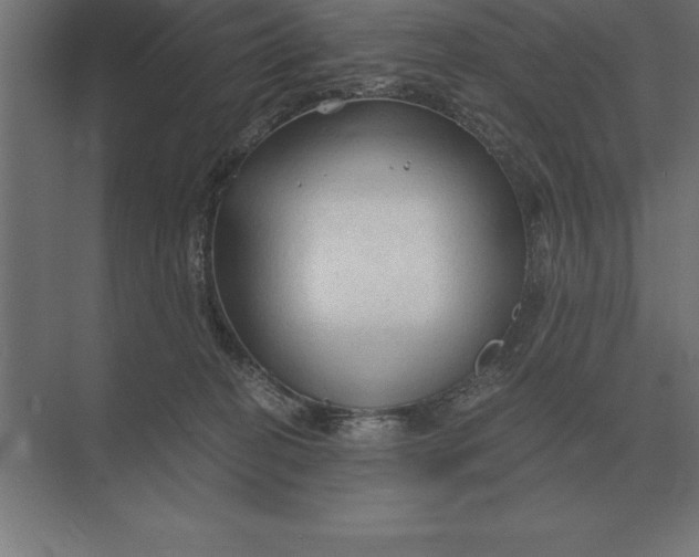 X0000073980274200609111815