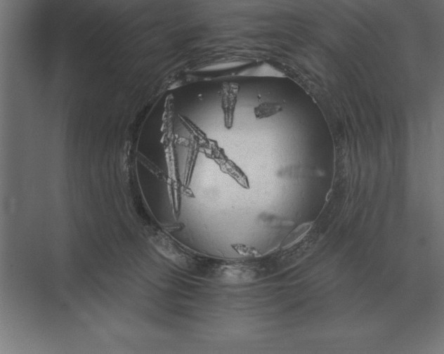 X0000073980275200609111816