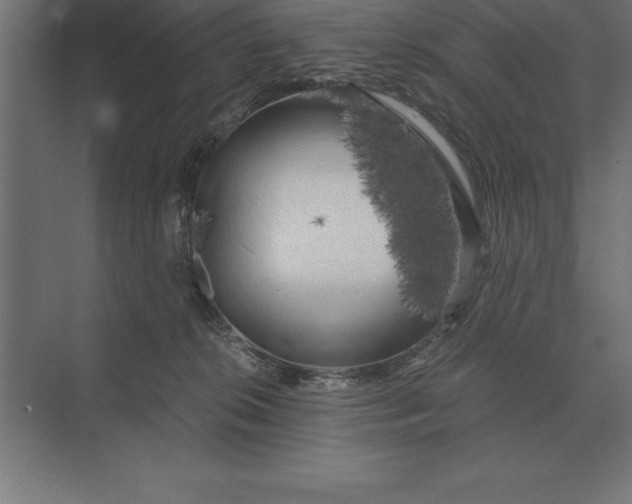 X0000073980276200609111816