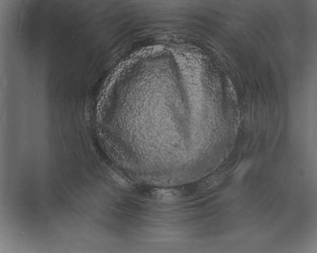 X0000073980277200609111816