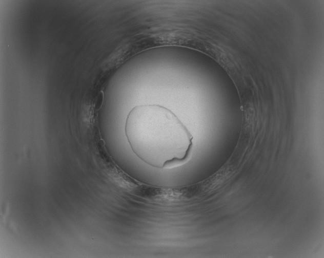 X0000073980278200609111816