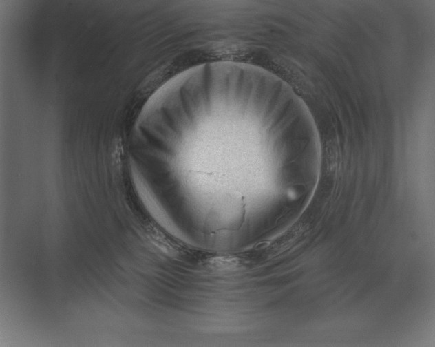 X0000073980279200609111816