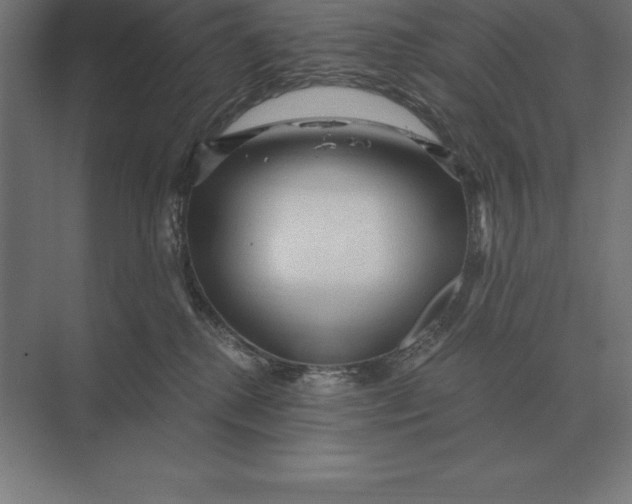 X0000073980280200609111816