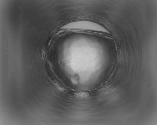 X0000073980281200609111816