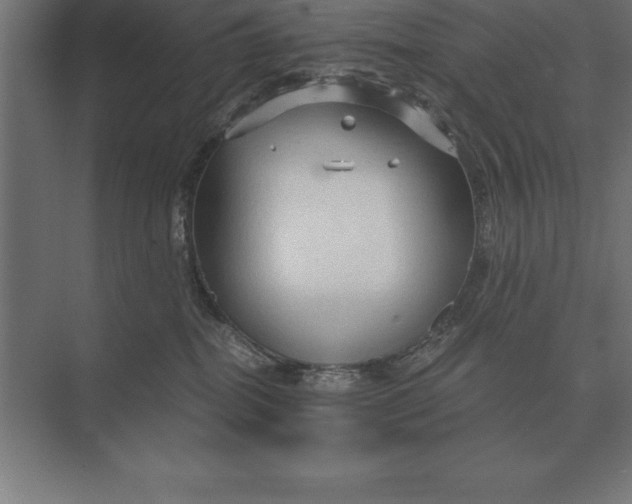 X0000073980282200609111816