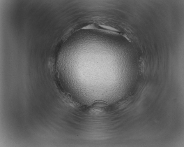 X0000073980283200609111816