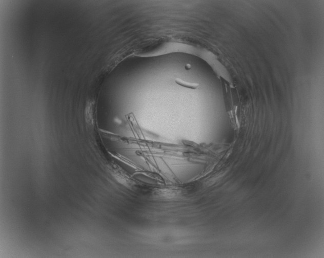 X0000073980286200609111816