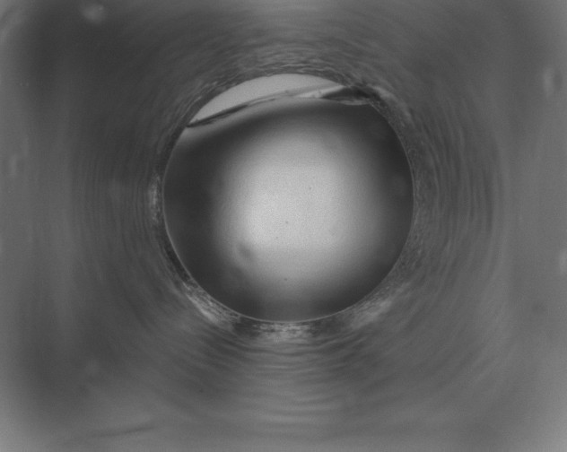 X0000073980288200609111816