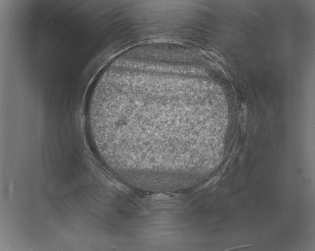 X0000073980290200609111815