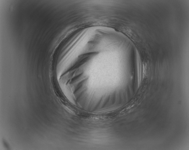 X0000073980291200609111815