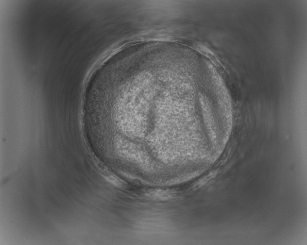 X0000073980293200609111815