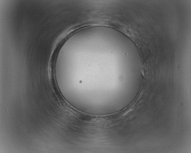 X0000073980294200609111815