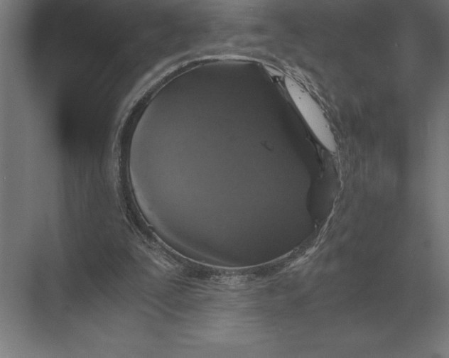 X0000073980295200609111815