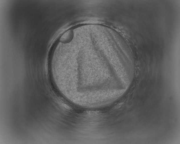 X0000073980296200609111815