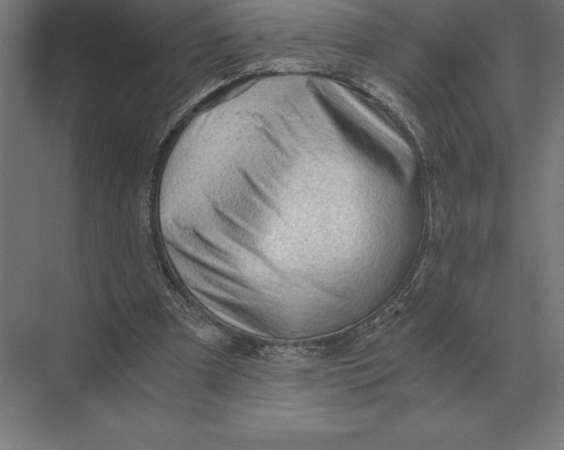 X0000073980297200609111815