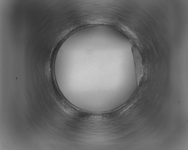 X0000073980298200609111815