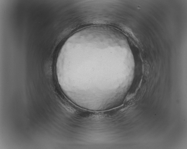 X0000073980299200609111815