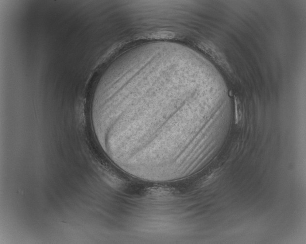 X0000073980300200609111815