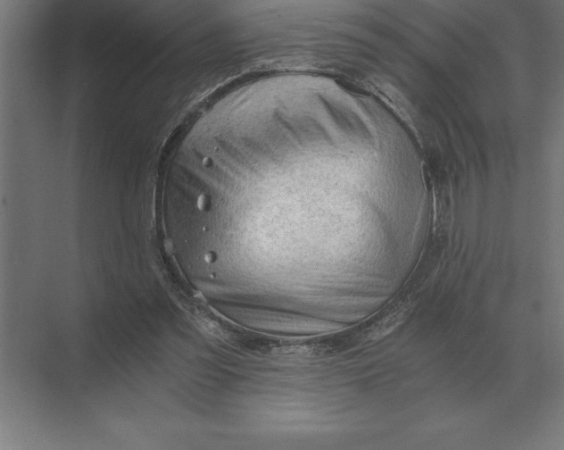 X0000073980301200609111815