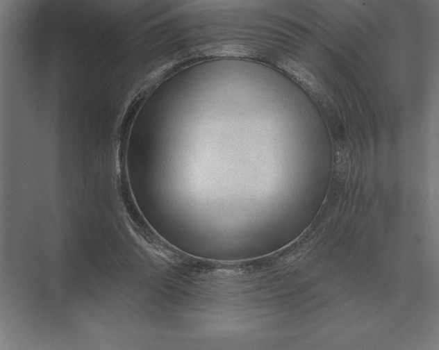 X0000073980302200609111815