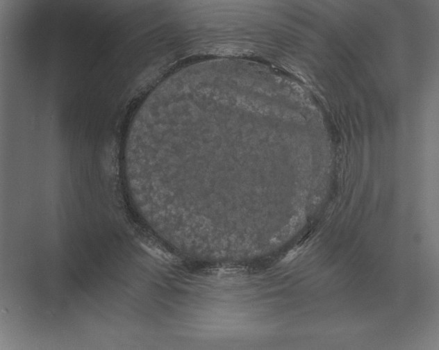 X0000073980303200609111815