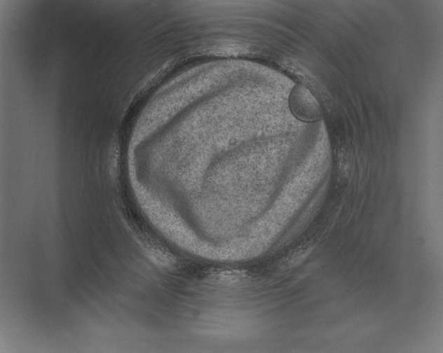 X0000073980304200609111815