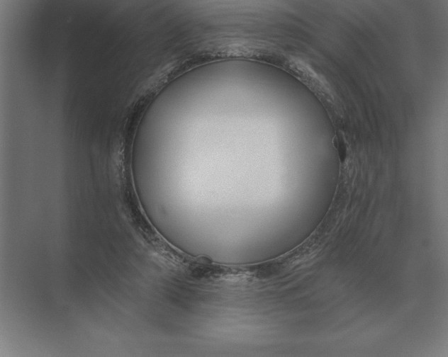 X0000073980306200609111815