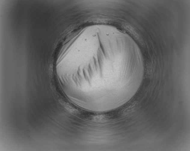 X0000073980309200609111815