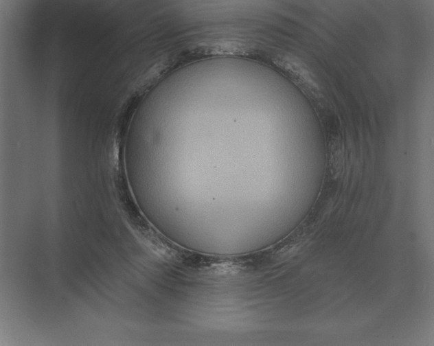 X0000073980310200609111815