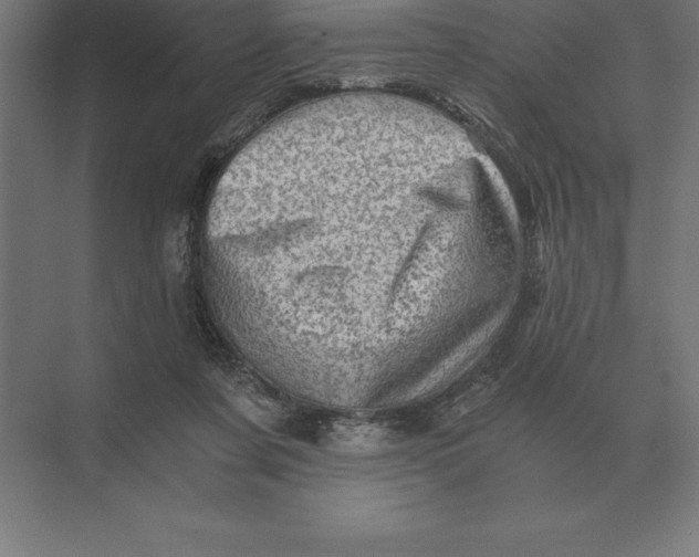 X0000073980311200609111815