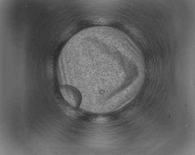 X0000073980312200609111815