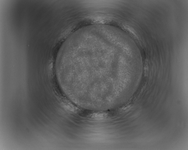 X0000073980314200609111814