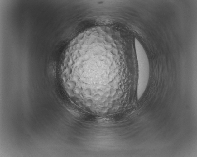 X0000073980315200609111814