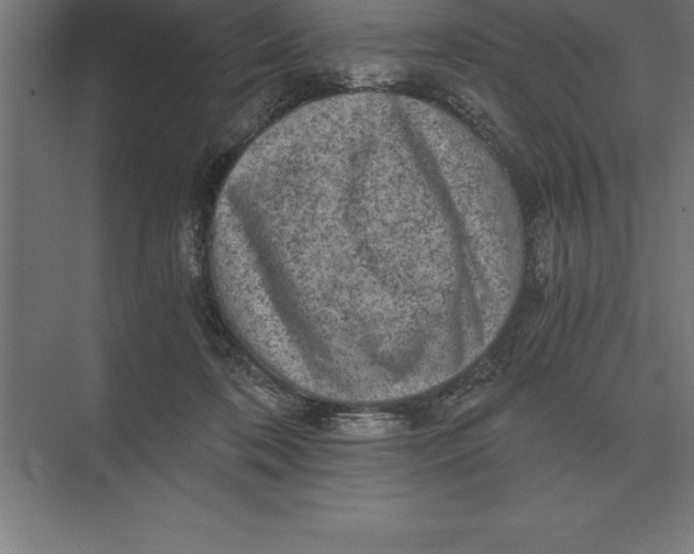 X0000073980316200609111814