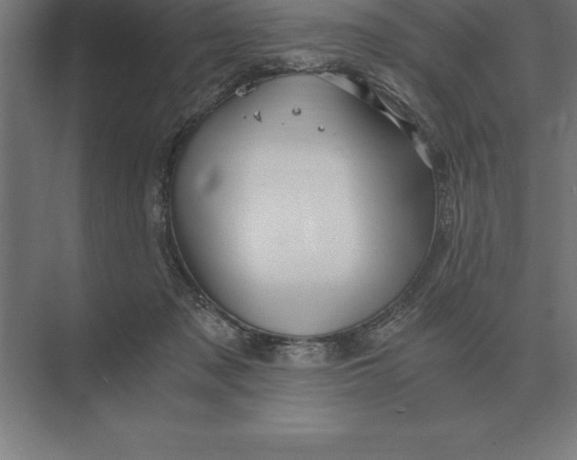 X0000073980317200609111814