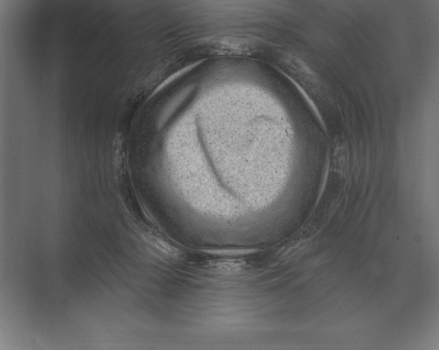 X0000073980318200609111814