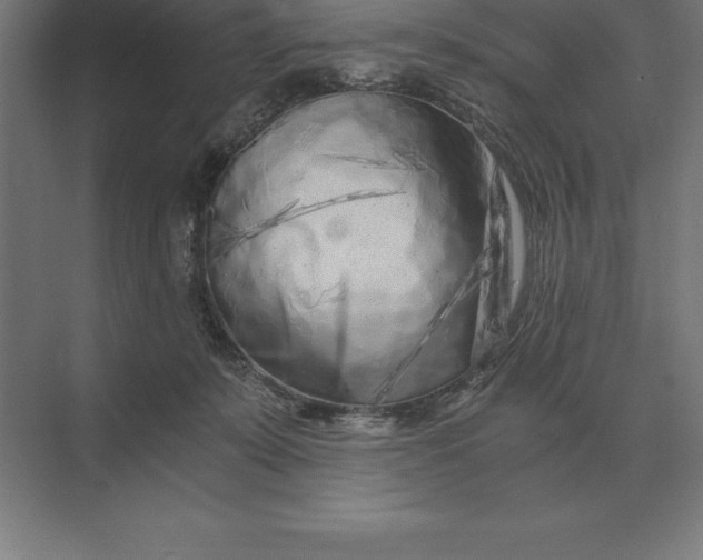 X0000073980319200609111814