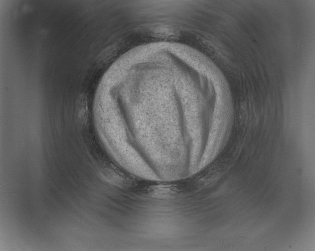 X0000073980320200609111814