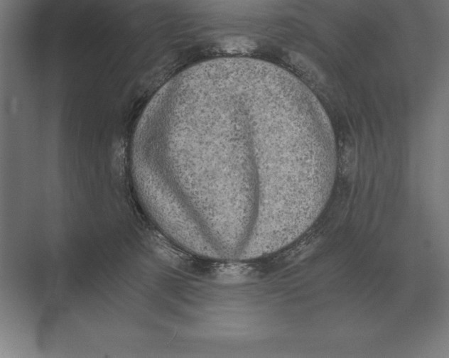 X0000073980321200609111814