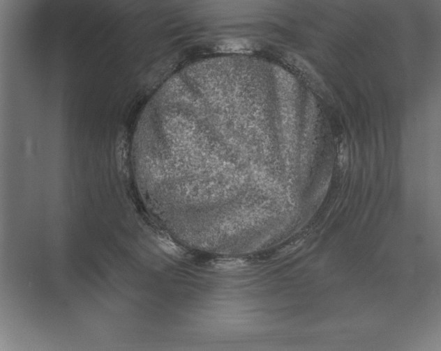 X0000073980322200609111814