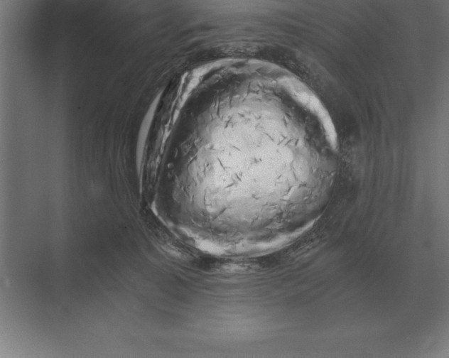 X0000073980323200609111814