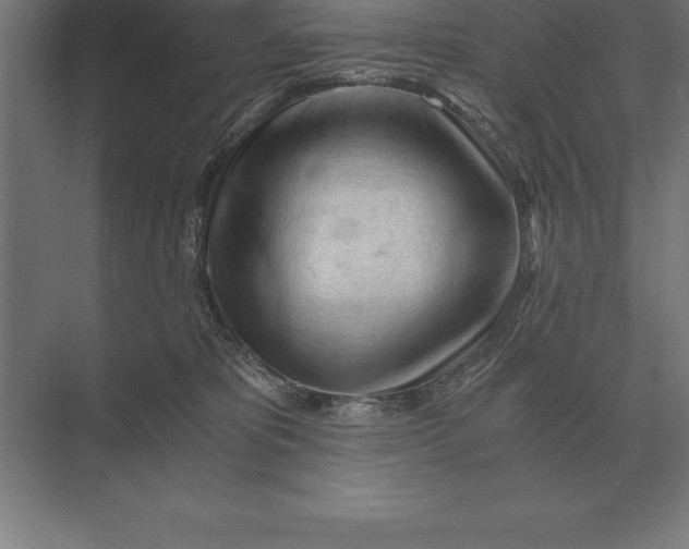 X0000073980325200609111814